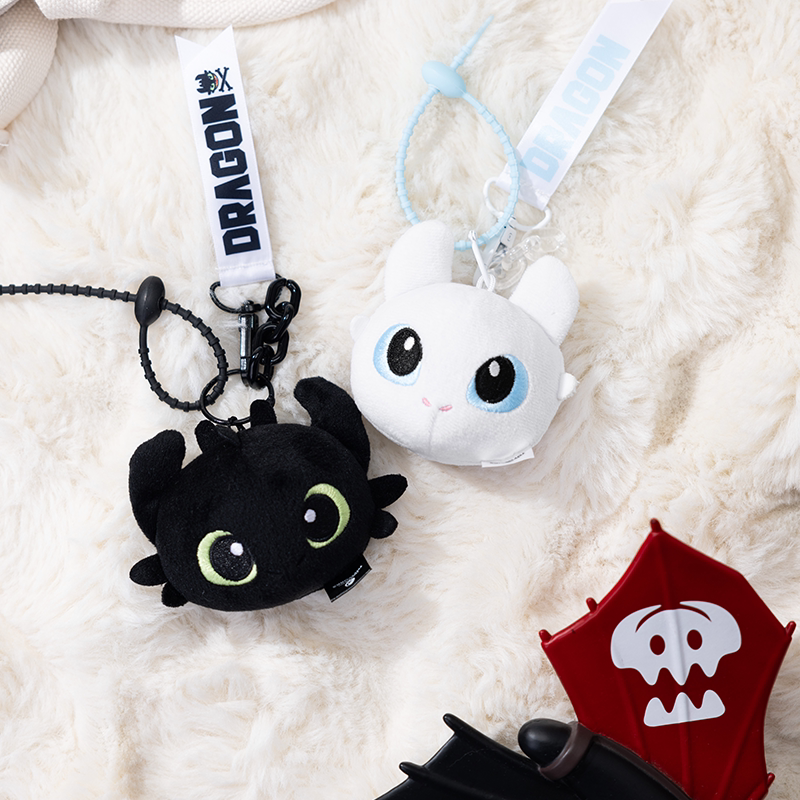 Photography Darkroom - How to Train Your Dragon Toothless