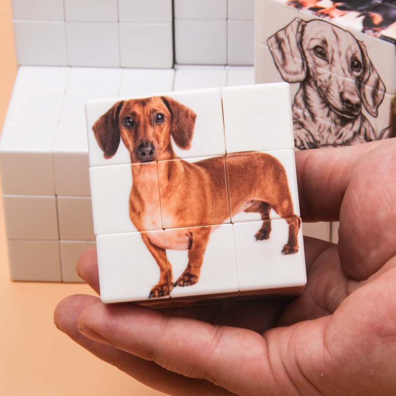Personalized magic cubes, cust - Photography Exhibition recensione e prezzo