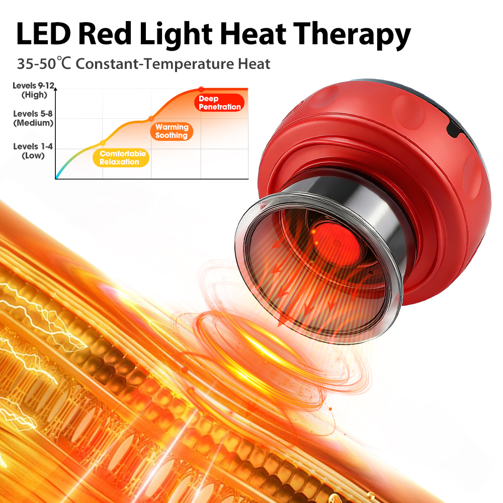 12 Electric Heated Back Massag - Photography Digital recensione e prezzo